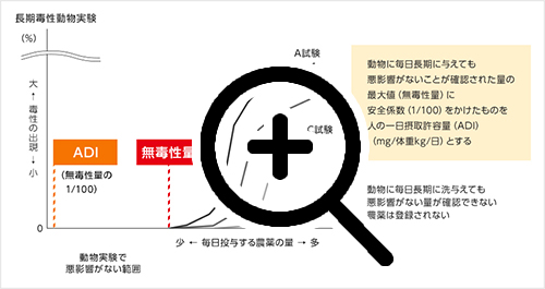 一日摂取許容量（ADI）の設定 SP画像