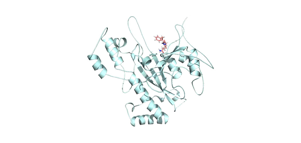 Ajinomoto Group R&D 技術がストーリーを創り出す