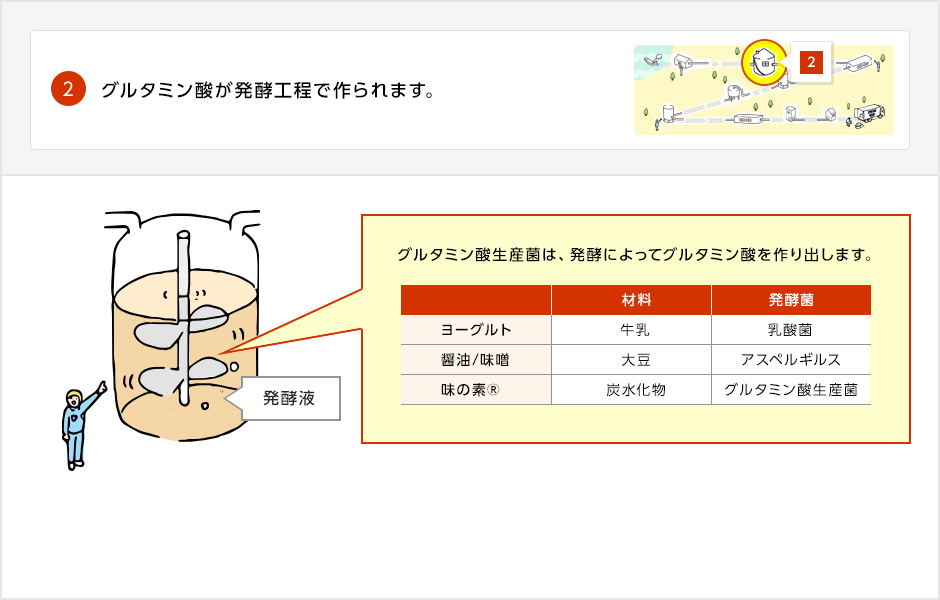 グルタミン酸生産菌の働きを説明した画像。乳酸菌によって牛乳がヨーグルトに、アスペルギルス菌によって大豆が納豆になるように、グルタミン酸生産菌と炭水化物から味の素®が作り出されます。