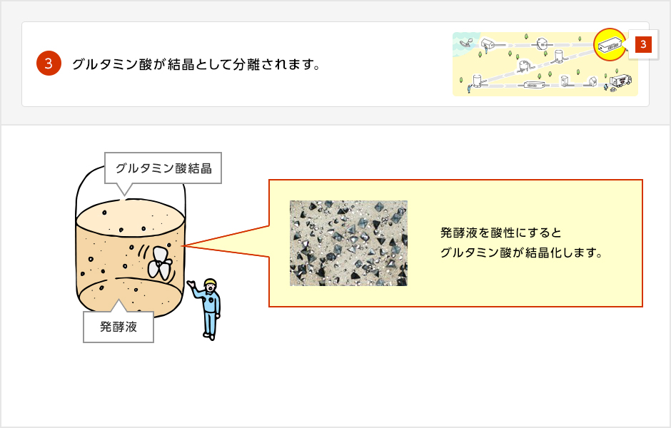 発酵液の中で結晶化したグルタミン酸の画像。タンク内の発酵液を酸性にすることで、グルタミン酸を結晶化させます。