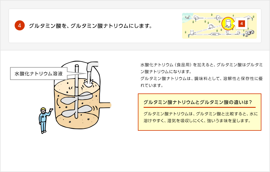 グルタミン酸をグルタミン酸ナトリウムに変化させる工程の画像。水酸化ナトリウム溶液を加えると、グルタミン酸はグルタミン酸ナトリウムに変化します。グルタミン酸ナトリウムは調味料として溶解性と保存性に優れ、強いうま味を呈します。