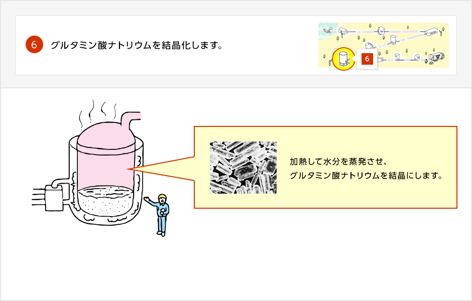 結晶化したグルタミン酸ナトリウムの画像。加熱して水分を蒸発させ、グルタミン酸ナトリウムを結晶化させます。