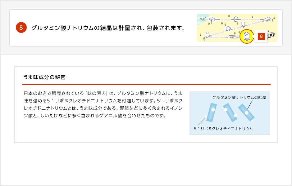 味の素®のうま味成分を解説した画像。日本のお店で販売されている味の素®は、グルタミン酸ナトリウムにうま味を強めるリボヌクレオチドニナトリウムを付加しています。リボヌクレオチドニナトリウムとは、鰹節などに含まれるイノシン酸と、しいたけなどに含まれるグアニル酸を合わせたものです。