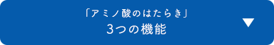 「アミノ酸のはたらき」3つの機能