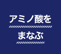 アミノ酸をまなぶ