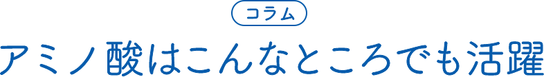 コラム アミノ酸はこんなところでも活躍